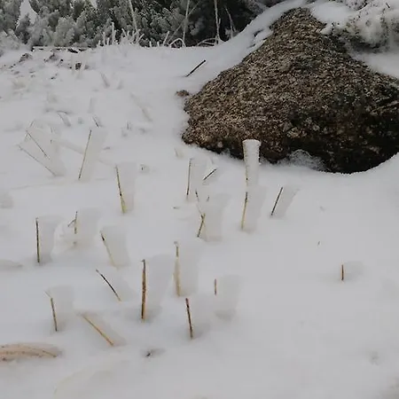 A Velha Padaria Fornos de Algodres